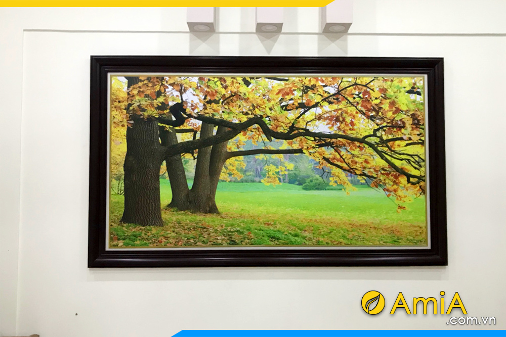 hình ảnh Bộ tranh treo tường phong cảnh cây lá phong vàng đẹp AmiA 1504