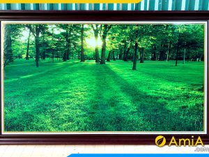 Hình ảnh Tranh phong cảnh rừng cây xanh mát treo tường AmiA 2110