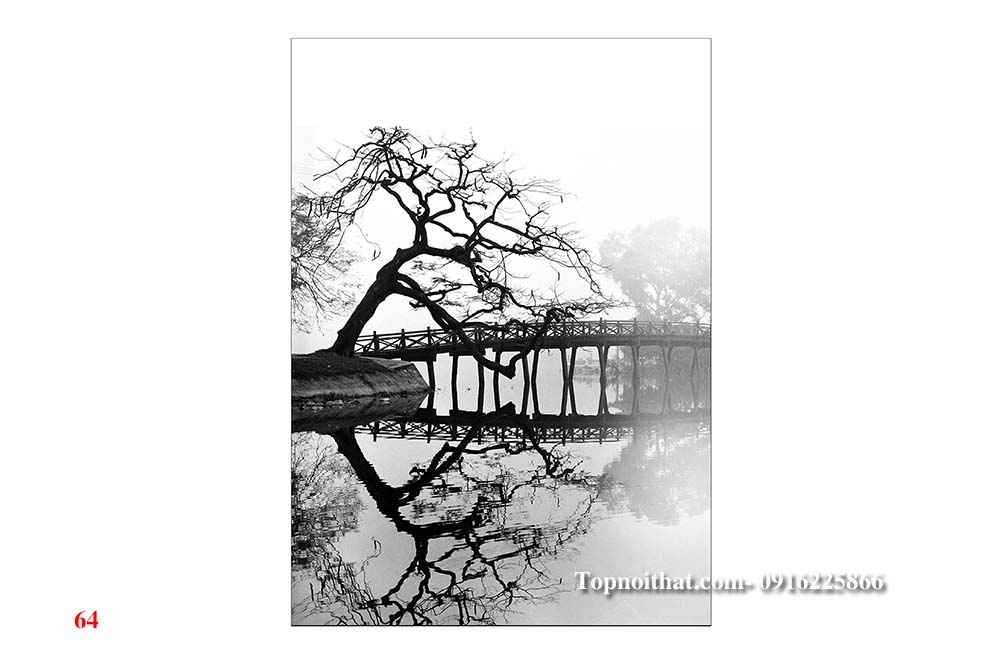 hinh anh tranh cau the huc ha noi